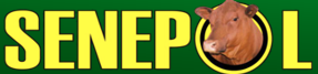Senepol SA Breed Society